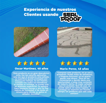 2x1 | Sellador de Grietas y Fugas